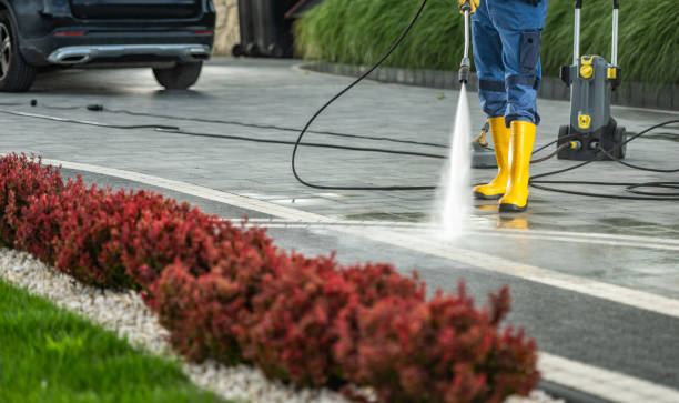 Best Parking Lot Cleaning in Citrus Park, FL